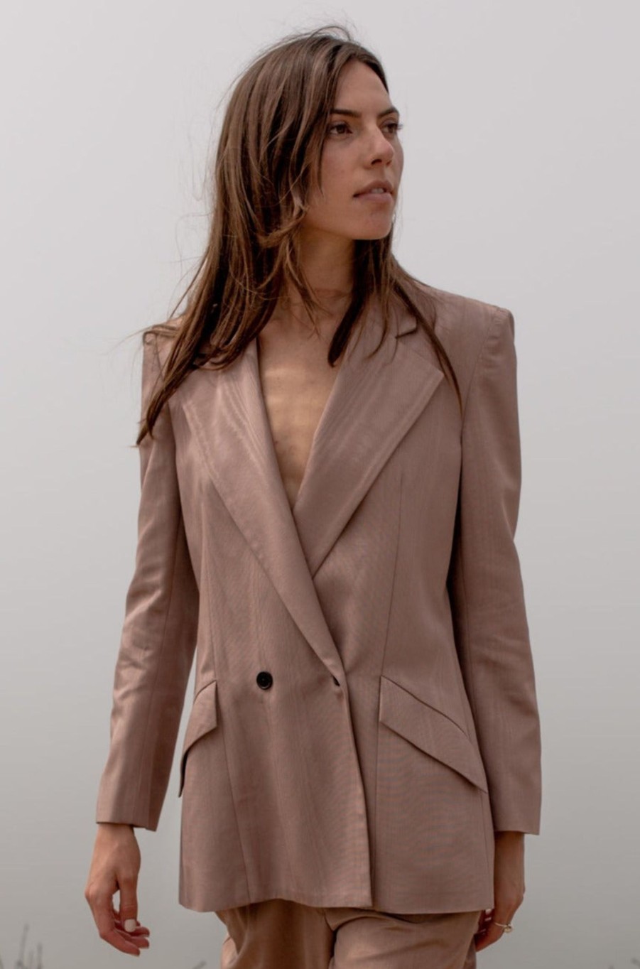 Women Heidi Merrick Suiting | F. Scott Blazer-Blush Moire